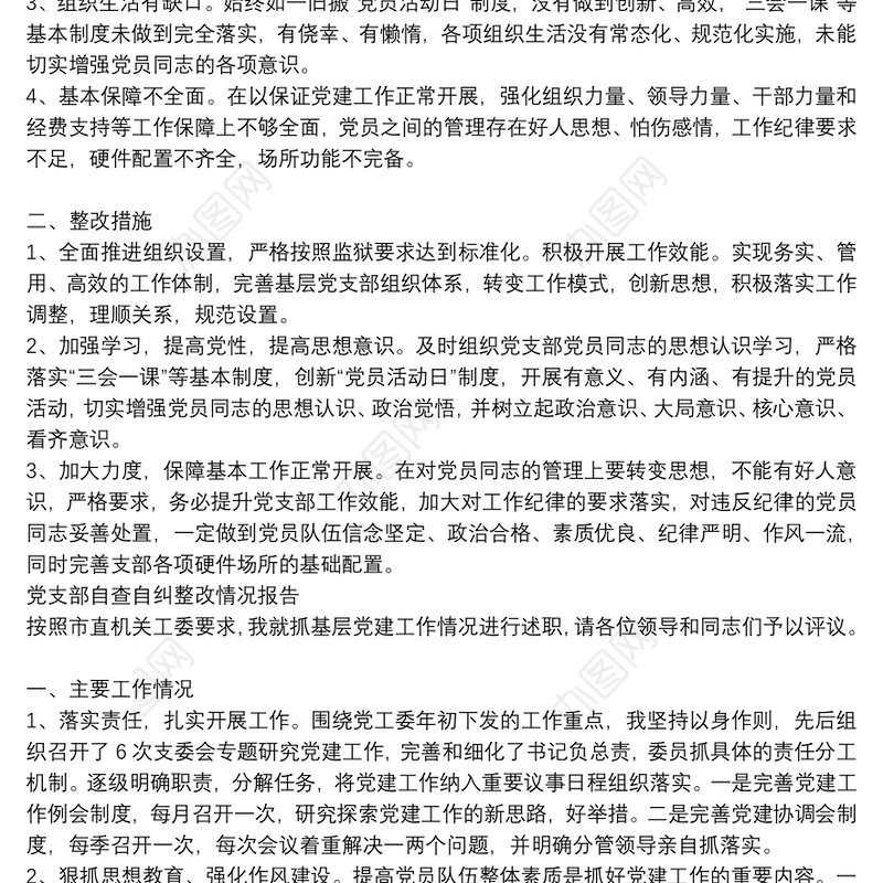 党支部自查自纠整改情况报告