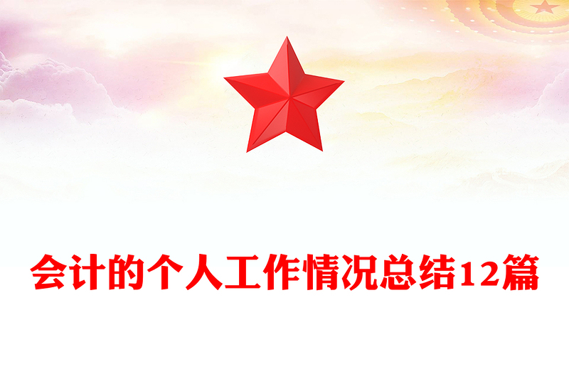 会计的个人工作情况总结12篇