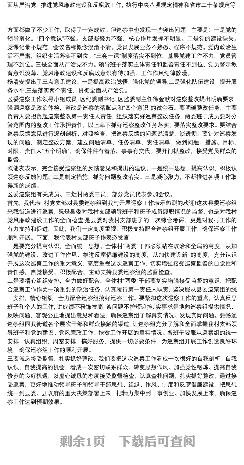 2021村党支部巡查反馈表态发言三篇