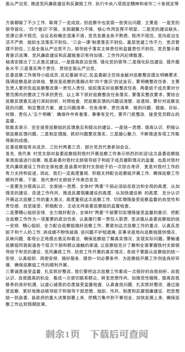 2021村党支部巡查反馈表态发言三篇