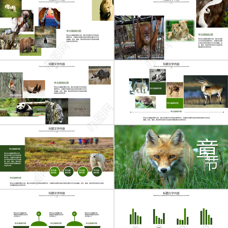 原创保护珍贵野生动物ppt课件-版权可商用