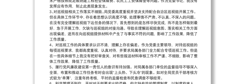X市政局巡视“回头看”整改专题民主生活会领导干部个人发言