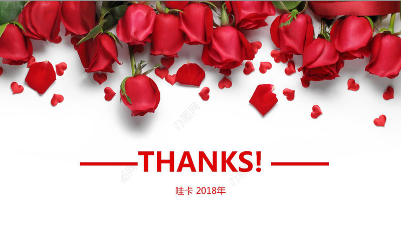 三八魅力女人节玫瑰花朵PPT模板