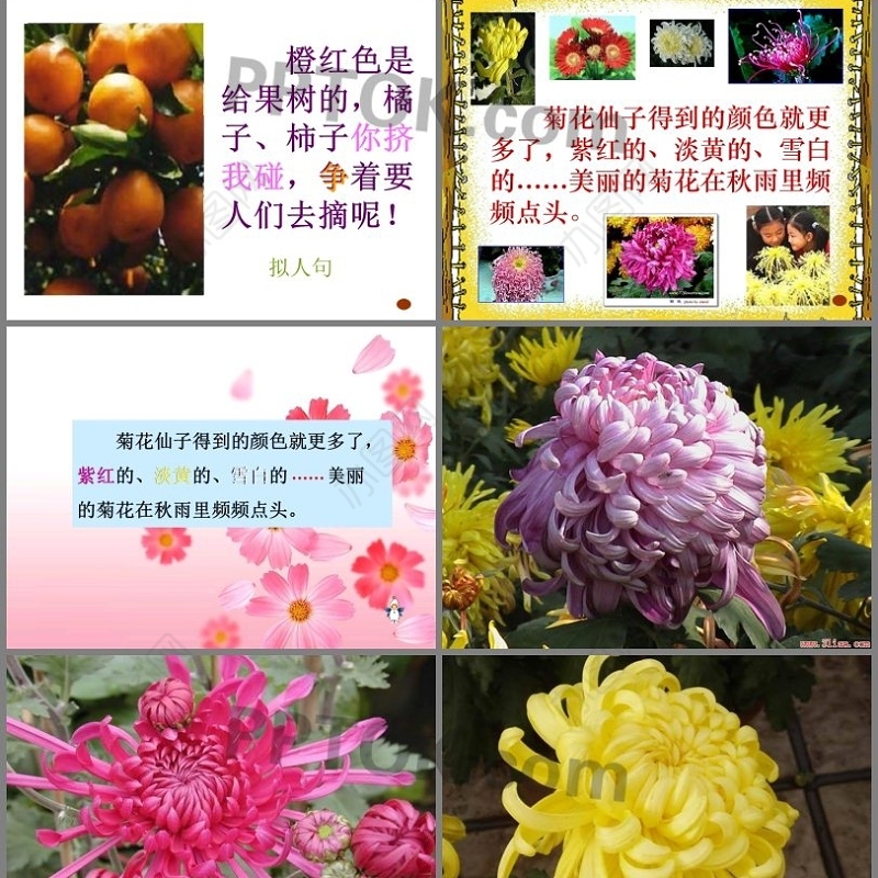 《秋天的雨》模版课件PPT