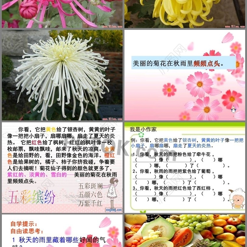 《秋天的雨》模版课件PPT