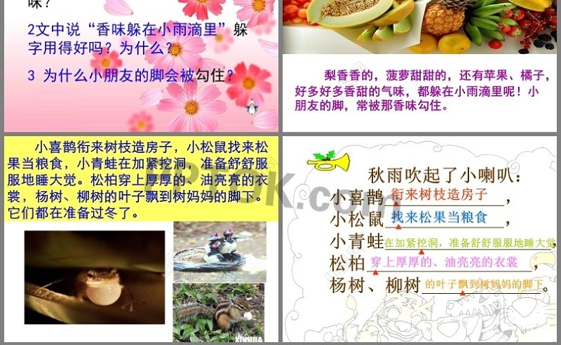 《秋天的雨》模版课件PPT