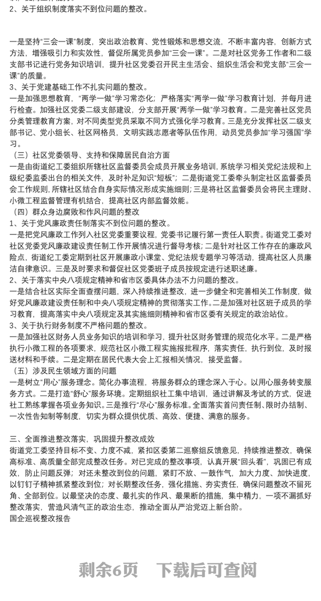 国企巡视整改报告