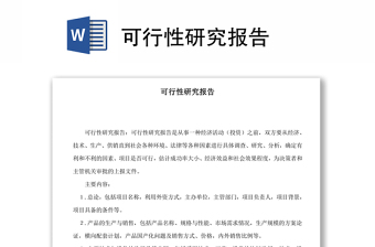 可行性研究报告