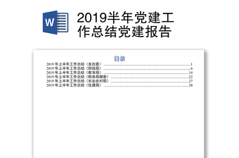 2019半年党建工作总结党建报告