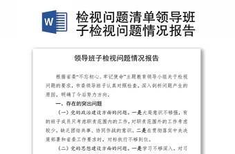 检视问题清单领导班子检视问题情况报告