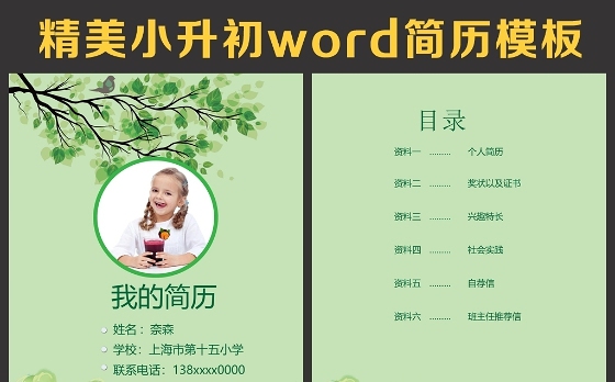 小升初简历