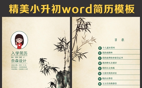 小升初简历