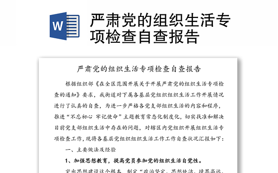 严肃党的组织生活专项检查自查报告