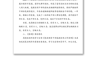 2020年度干部选拔任用工作专题报告