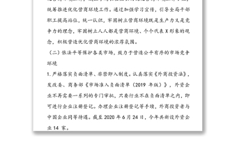 2020年优化营商环境工作自查自纠情况报告