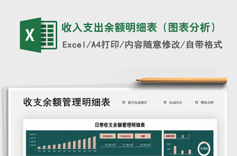 2021年收入支出余额明细表（图表分析）