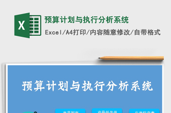 2021年预算计划与执行分析系统