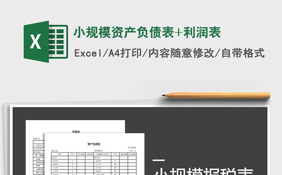 2021年小规模资产负债表+利润表