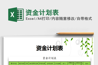 2021年资金计划表