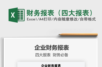 2021年财务报表（四大报表）