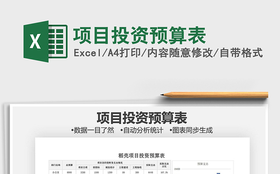 2021年项目投资预算表