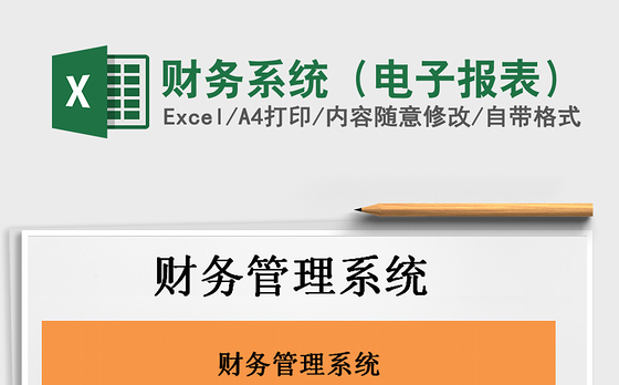 2021年财务系统（电子报表）
