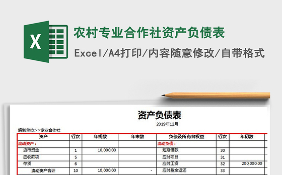 2021年农村专业合作社资产负债表