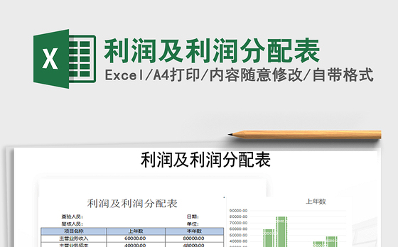 2021年利润及利润分配表