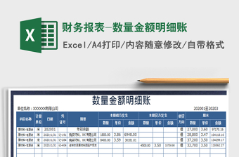2021年财务报表-数量金额明细账