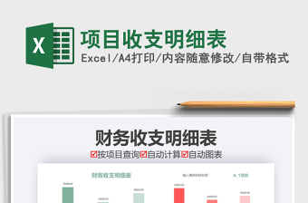 2021年项目收支明细表