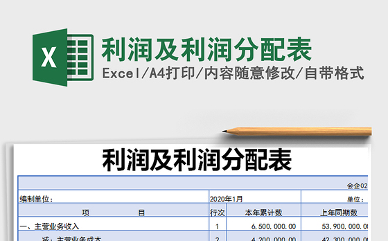 2021年利润及利润分配表