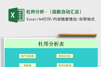 2021年杜邦分析-（函数自动汇总）