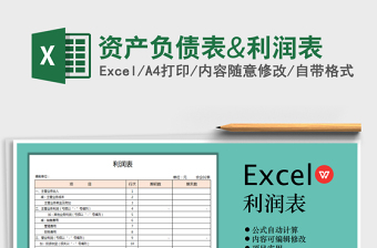 2021年资产负债表&利润表