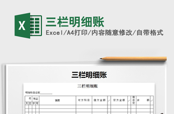 2021年三栏明细账