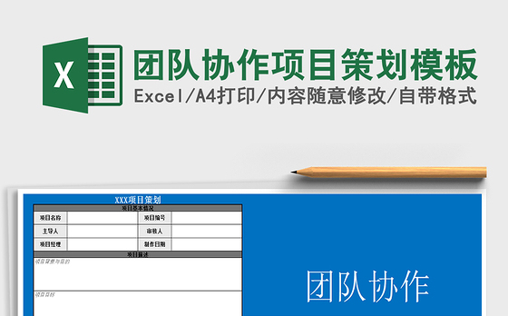 2021年团队协作项目策划模板