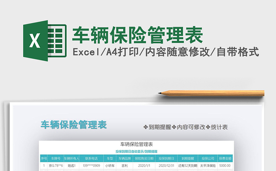 2021年车辆保险管理表