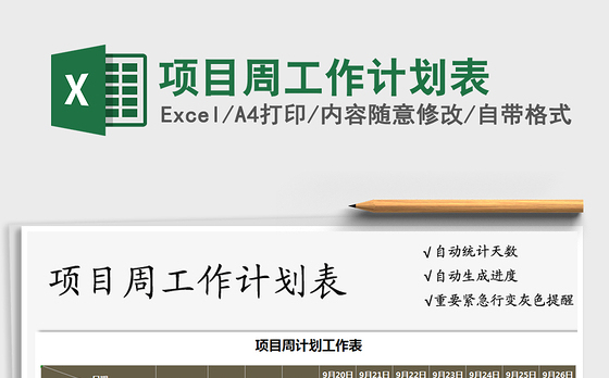 2021年项目周工作计划表