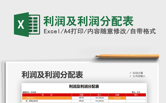 2021年利润及利润分配表