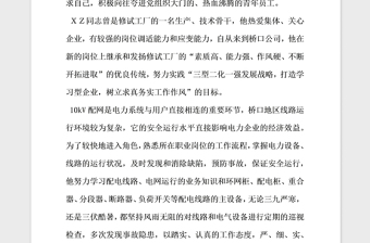 2021年电力公司员工优秀党员事迹材料