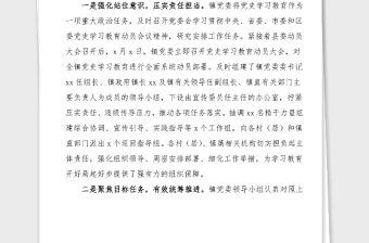 党史学习教育总结乡镇党史学习教育工作情况汇报范文工作总结汇报报告