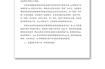 关于xx村脱贫攻坚成果的工作报告