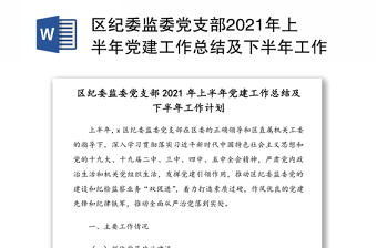 区纪委监委党支部2021年上半年党建工作总结及下半年工作计划
