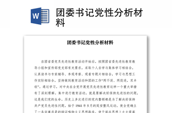 2021团委书记党性分析材料