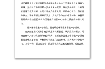 2021党委书记在履行全面从严治党责任暨抓党建工作述职评议会议上的发言