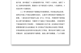 2021关于干部选拔任用工作的专题报告