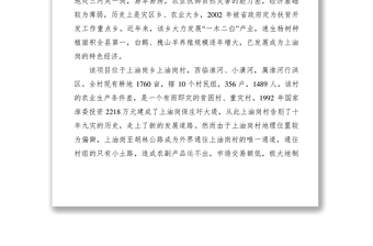 2021【工作方案】道路项目实施方案