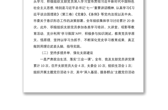 【原创】XX党支部2021年上半年党建工作总结下半年工作安排