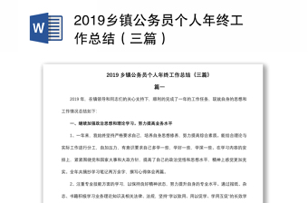 2019乡镇公务员个人年终工作总结（三篇）