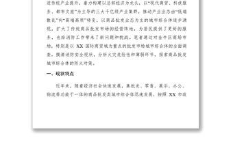 2021【调研报告】浅析金牛区商品批发类城市综合体-调研报告