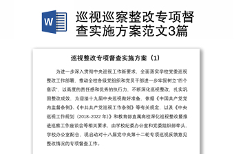 2021巡视巡察整改专项督查实施方案范文3篇